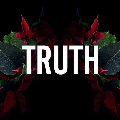 Bánh Xe Wheelie Bar Hosim X07 Cỡ Lớn