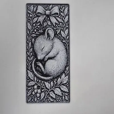 Chuột Ngủ Say Cuốn Sách Tuyệt Đẹp