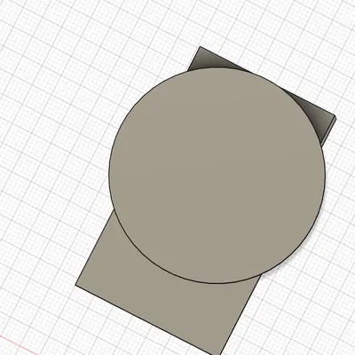 Trang Trí Cho Terrarium