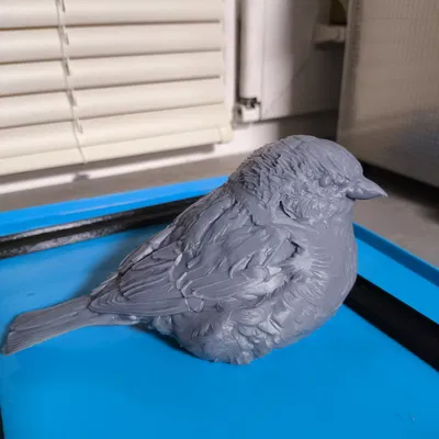 Mô Hình Chim Sẻ Thực Tế – Mẫu Chim Trang Trí Để In 3D