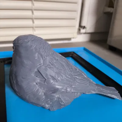 Mô Hình Chim Sẻ Thực Tế – Mẫu Chim Trang Trí Để In 3D