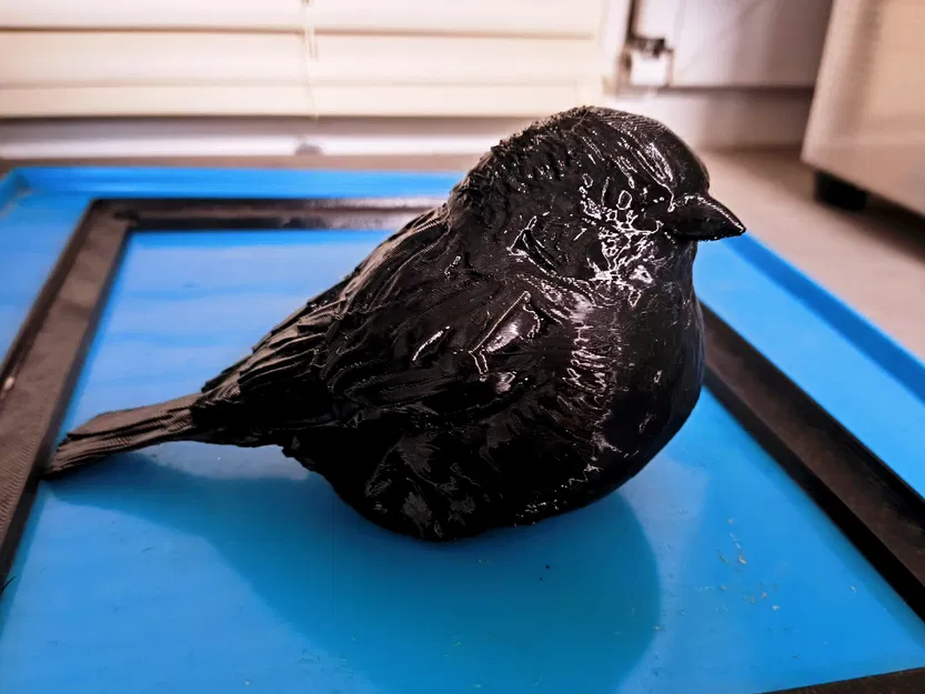 Mô Hình Chim Sẻ Thực Tế – Mẫu Chim Trang Trí Để In 3D - Image 5