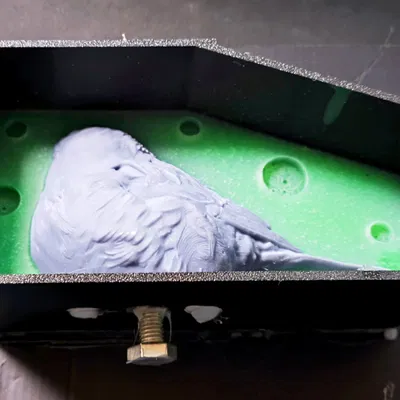 Hộp Khuôn Silicone Hai Phần Cho Tượng Chim Sẻ (In FDM)