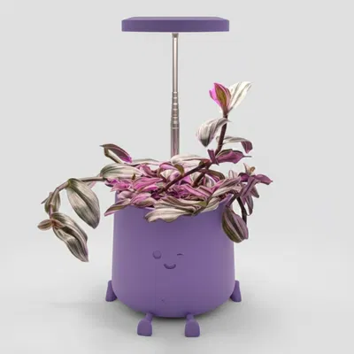 Chậu Cây Vui Vẻ Có Chỗ Gắn Đèn Trồng Cây - Chậu 7 Inch