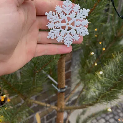 Bông Tuyết Giáng Sinh