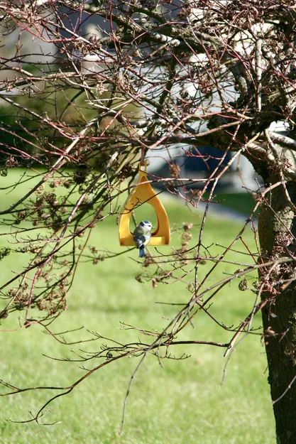 Máng Ăn Cho Chim - Image 1