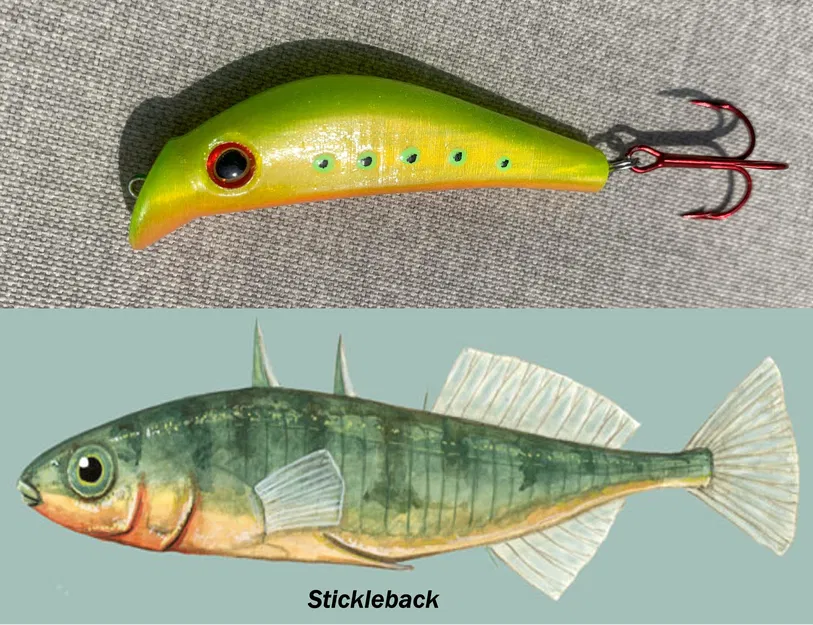Mồi Câu Cá "Drunken Stickleback" Có Mắt 3D - Image 4