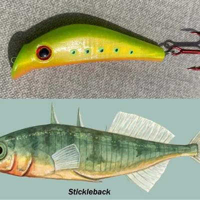 Mồi Câu Cá "Drunken Stickleback" Có Mắt 3D
