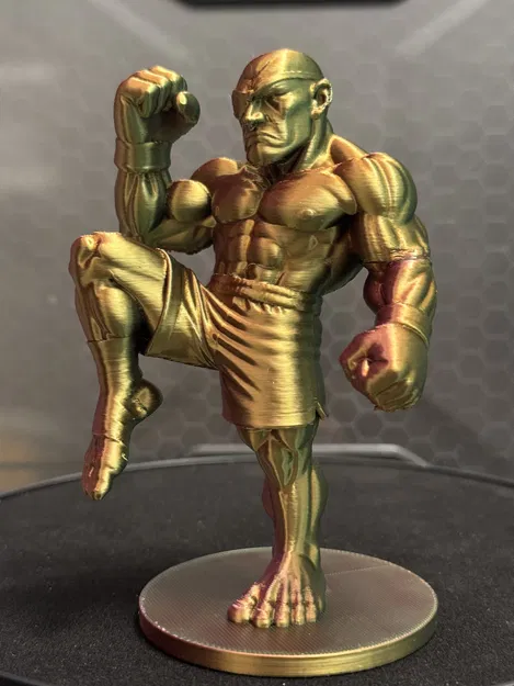 Mô hình 3D Sagat - Image 1