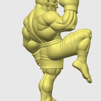 Mô hình 3D Sagat