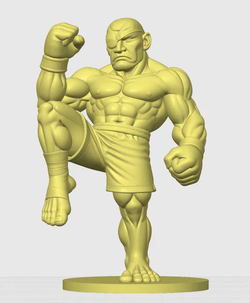 Mô hình 3D Sagat - Image 5