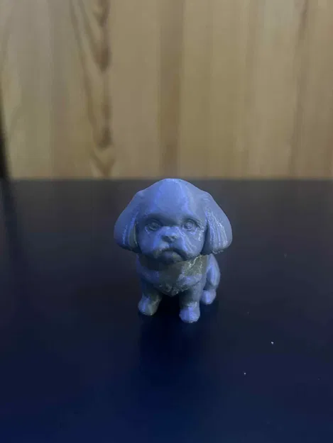 Chó Shih Tzu Dễ Thương - Image 1