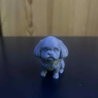 Chó Shih Tzu Dễ Thương