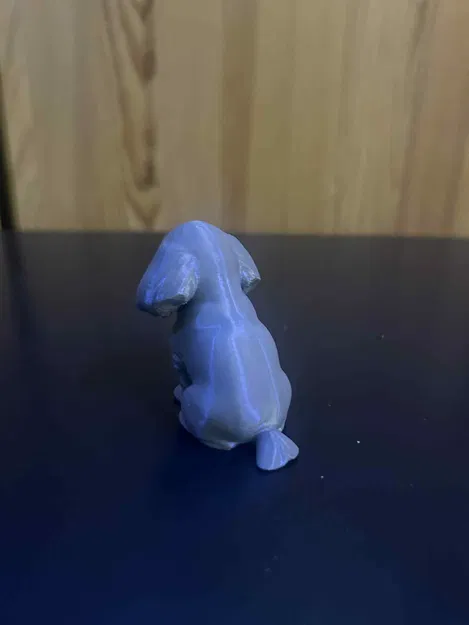 Chó Shih Tzu Dễ Thương - Image 2