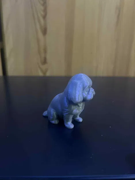 Chó Shih Tzu Dễ Thương - Image 3