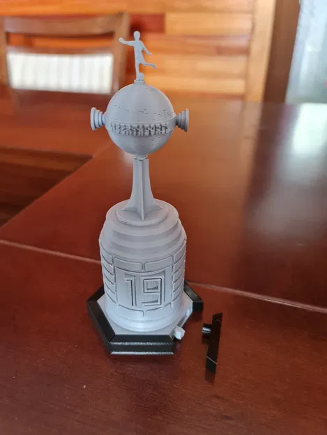 Cúp Libertadores da America - Image 8