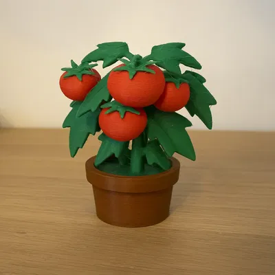 Mô Hình Cây Cà Chua Nhỏ Xinh Trong Chậu
