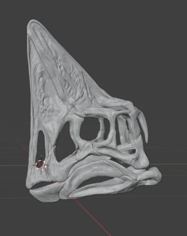 Hộp Sọ Oviraptor "Spike" - Image 1