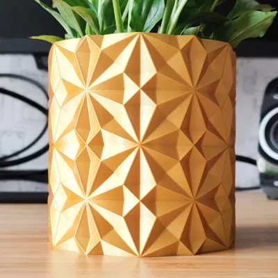 Chậu Hoa Hình Pháo Hoa Sao - Trang Trí Tết - Thiết Kế Chế Độ Lọ