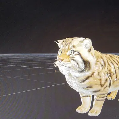 Mô Hình 3D Mèo Manul Hoang Dã