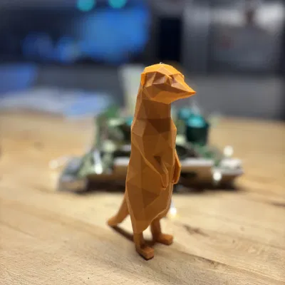 Mô hình Meerkat Hexa độc đáo