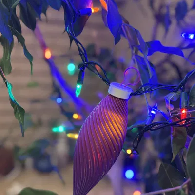 Bộ Sưu Tập Đồ Trang Trí Giáng Sinh Chế Độ Vase