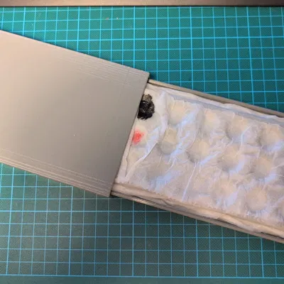 Khay sơn ẩm cho người thích tự làm