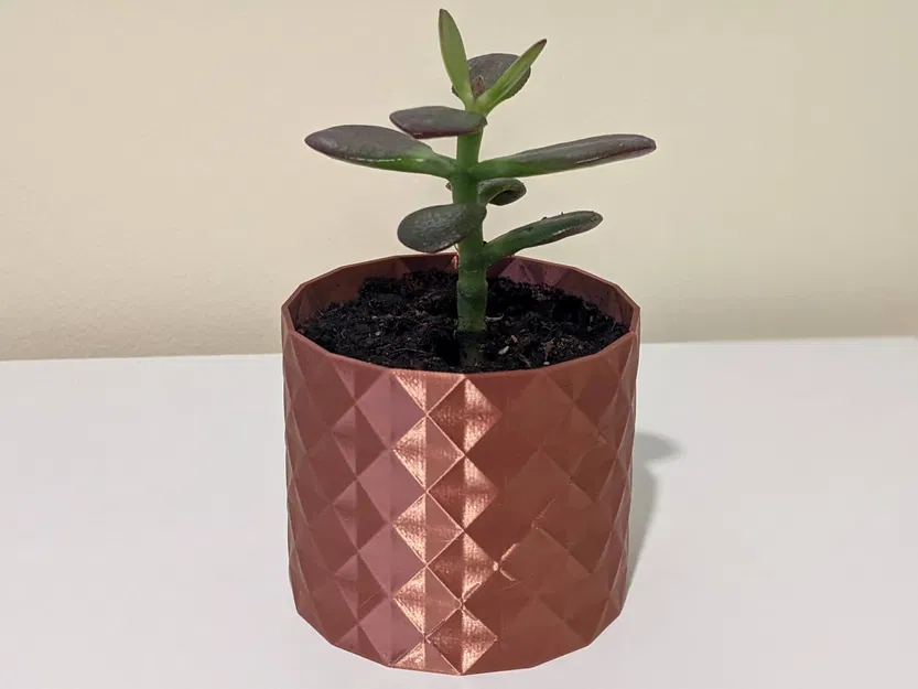 Chậu Trồng Sen Đá "Clara" - Image 1