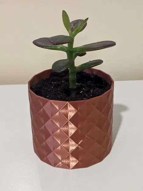 Chậu Trồng Sen Đá "Clara" - Image 2