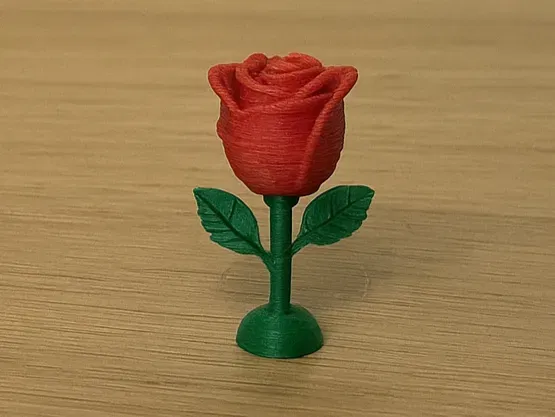 Hoa hồng nở rộ - Đa sắc - Image 2