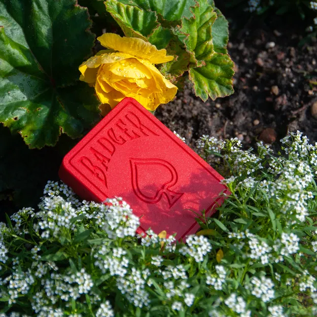 Hộp Đựng Bài Mini Gọn Gàng - Image 5