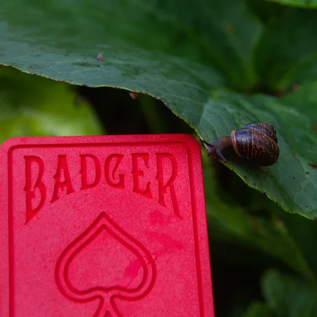 Hộp Đựng Bài Mini Gọn Gàng - Image 8