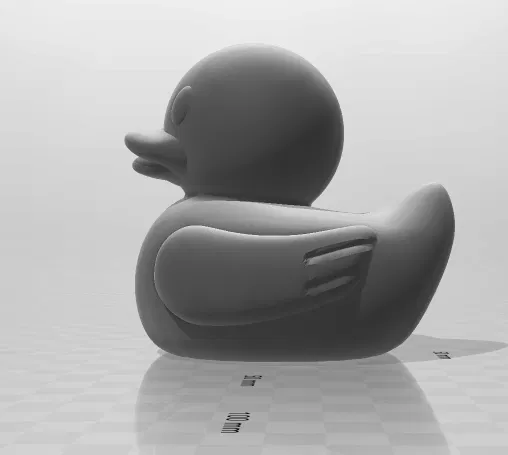 Vịt Cao Su - Image 3