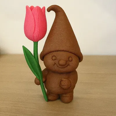 Chú Lùn Với Hoa Tulip (Nhiều Màu)