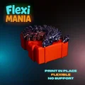 Rồng Flexi | Đồ Chơi Rồng In 3D Khớp Nối - Thumbnail 2