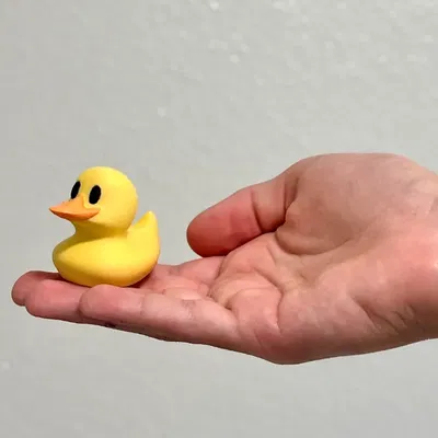 Vịt May Mắn - In Vịt Nhỏ Xinh Cho May Mắn!