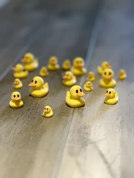 Vịt May Mắn - In Vịt Nhỏ Xinh Cho May Mắn! - Image 2