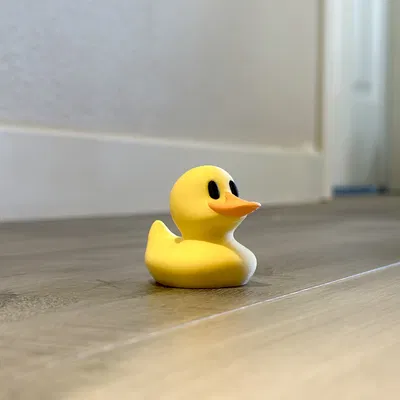 Vịt May Mắn - In Vịt Nhỏ Xinh Cho May Mắn!