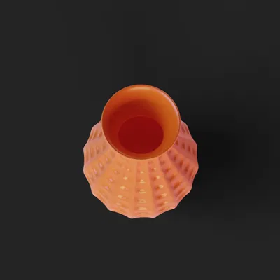 Chậu Hoa San Hô 3D