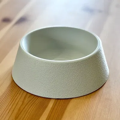 Tô đựng thức ăn cho mèo | Không cần support