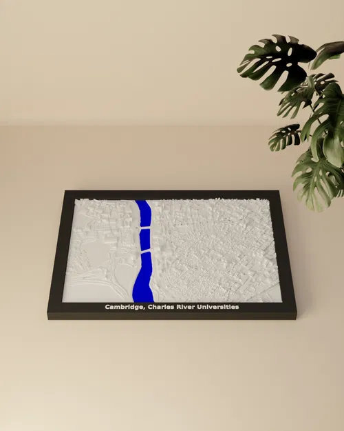 Mô hình 3D Địa hình Cambridge, Đại học Charles River - Hoa Kỳ - Image 2