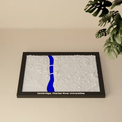 Mô hình 3D Địa hình Cambridge, Đại học Charles River - Hoa Kỳ