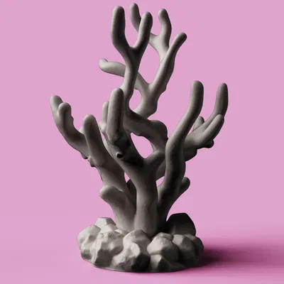 Giá đỡ tai nghe San Hô | Nghệ thuật Biển Tinh tế