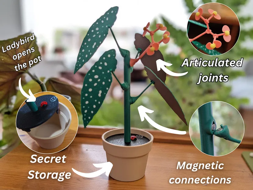 Chậu Hoa Mười Giờ Với Bí Mật - Image 1