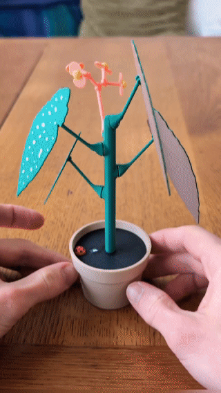 Chậu Hoa Mười Giờ Với Bí Mật - Thumbnail 2