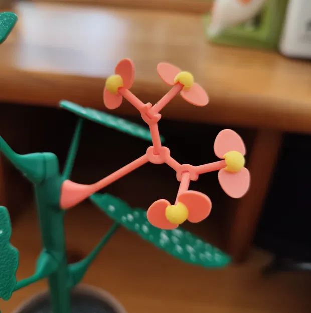 Chậu Hoa Mười Giờ Với Bí Mật - Image 4