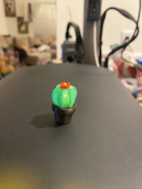 Xương Rồng Mini Nở Hoa - Image 1