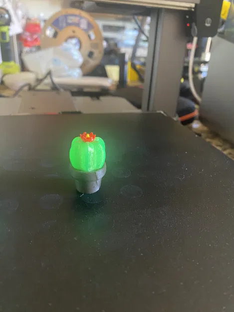 Xương Rồng Mini Nở Hoa - Image 2