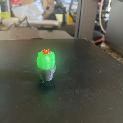 Xương Rồng Mini Nở Hoa