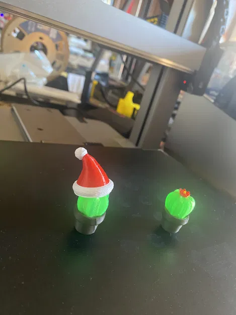 Xương Rồng Mini Nở Hoa - Image 3